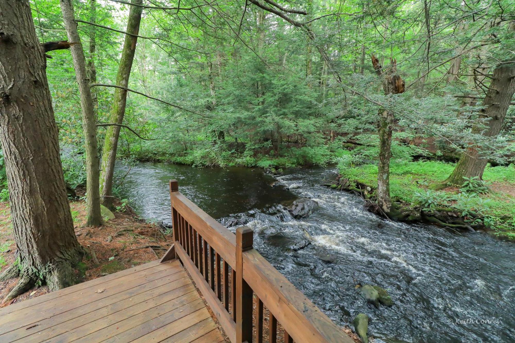 Magnolia Streamside Resort Canadensis Номер фото